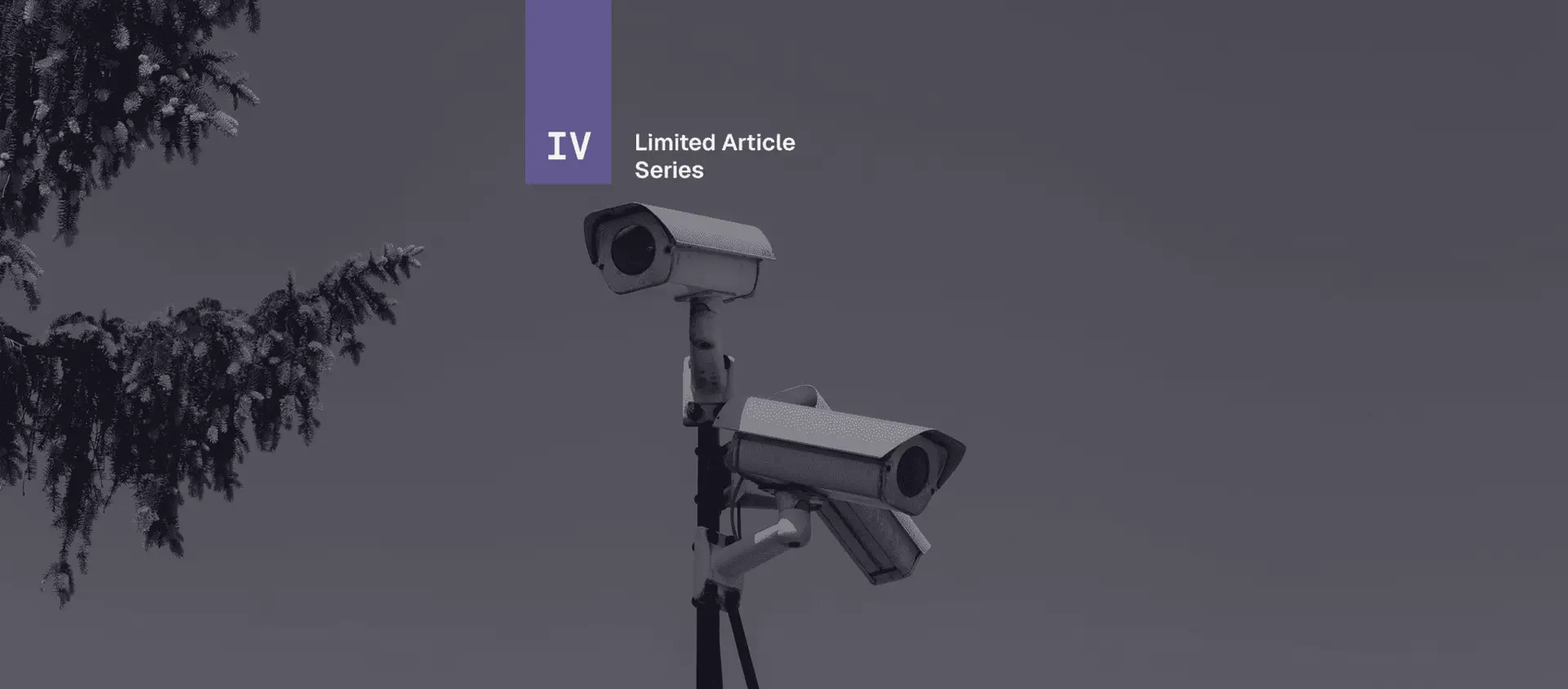 [Part 4 of 10] Limited Article Series Website Featured Image