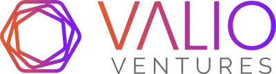 Valio Ventures [Logo]